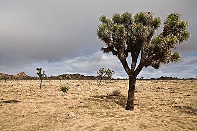 《彩虹六号：围攻》移除Vulkan接口 游戏性能严重受创