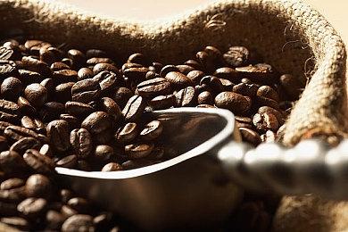 《心之眼》与《杀手》的免费联动内容将延期推出