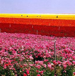 《马克思佩恩3》高清贴图包MOD新版来了 16.4GB